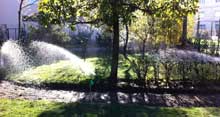 Impianti di irrigazione per giardini